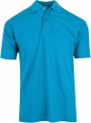 Blue Rebel  Leopard (U) thumbnail