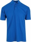 Blue Rebel  Leopard (U) thumbnail